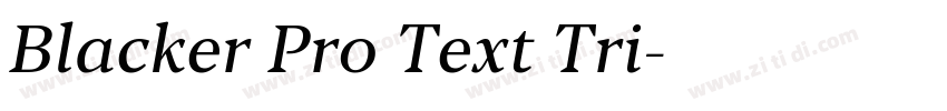Blacker Pro Text Tri字体转换 Blacker Pro Text Tri字体转换